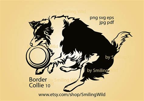 Border Collie 10 Svg Vector Graphic File Jumping Dog Etsy