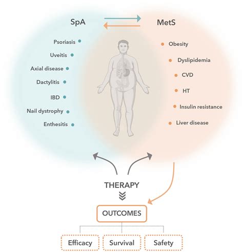 Frontiers Interleukin 17 Targeted Treatment In Patients With