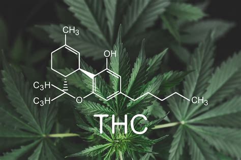 ¿qué Es El Thc Smoking