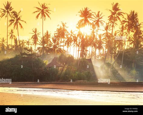 Leaf Huts Hi Res Stock Photography And Images Alamy