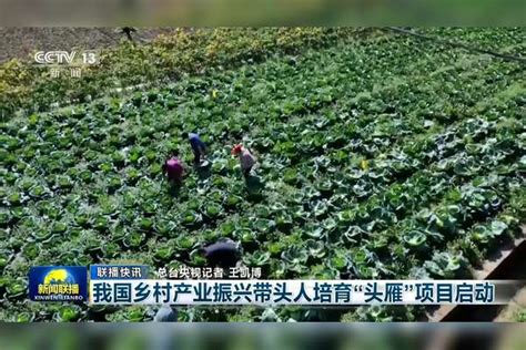 我国乡村产业振兴带头人培育“头雁”项目启动头雁产业乡村