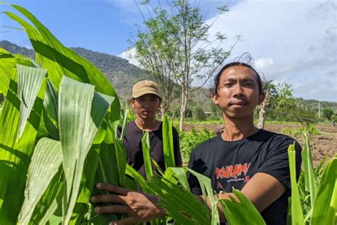 Refleksi Hari Tani Upaya Eks Transmigran Timtim Mengakses Lahan