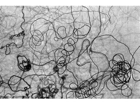 traces