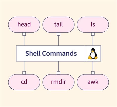 Basic Shell Commands In Linux Scaler Topics