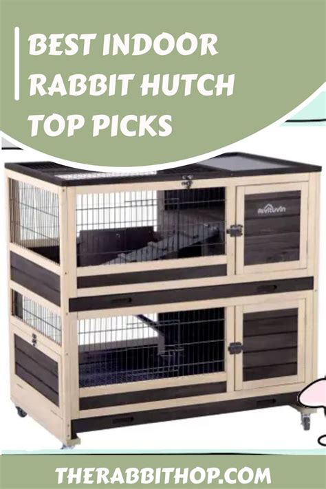 Best Indoor Rabbit Hutch Top Picks In Indoor Rabbit Rabbit