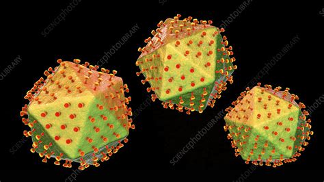 African Swine Fever Virus Illustration Stock Image F031 1023