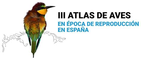 Día Mundial De Las Aves 2022 Centro De Educación Ambiental De Casa De