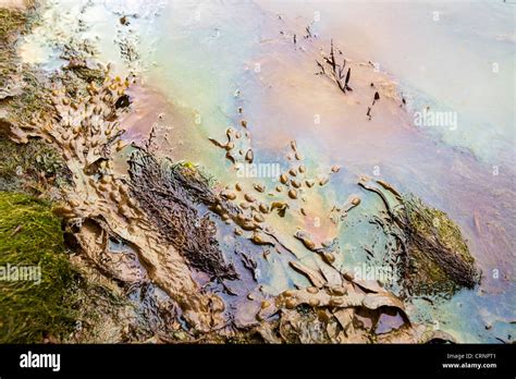 Inquinamento Da Idrocarburi In Mare Immagini E Fotografie Stock Ad Alta