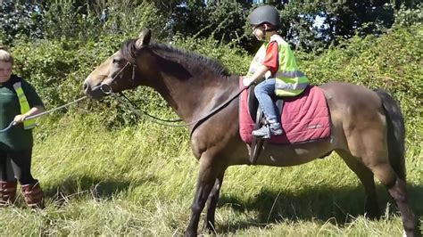 New Forest Holiday 2016 Day Four Horse Riding At Bagnum Equestrian