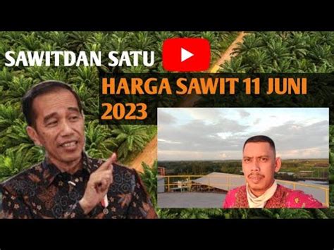 HARGA SAWIT TERKINI MINGGU 11 JUNI 2023 YouTube