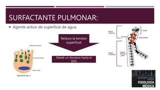 Fisiologia Pulmonar Guyton Introducci N Pptx Ppt