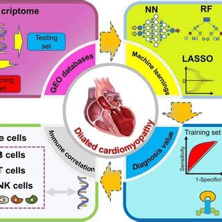 The Plasma Levels Of Serpina Frzb And Fcn In Dilated Cardiomyopathy