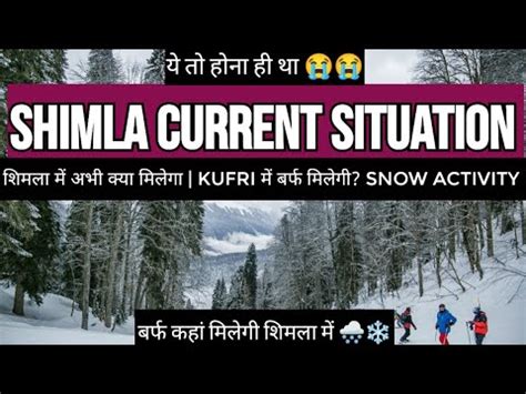 Shimla Current Situation Update On 11 February Shimla Snowfall Today