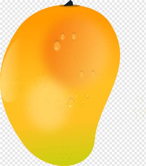 Mango Mango Clipart Green Mango Raw Mango Mango Slice Mango Splash