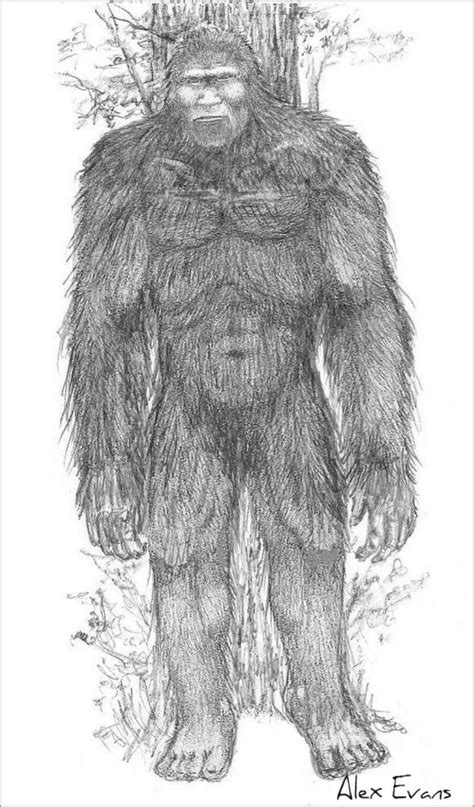 Bigfoot Coloring Pages Coloringbay