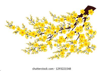 26 681 Yellow Apricot Flower Images Stock Photos 3D Objects