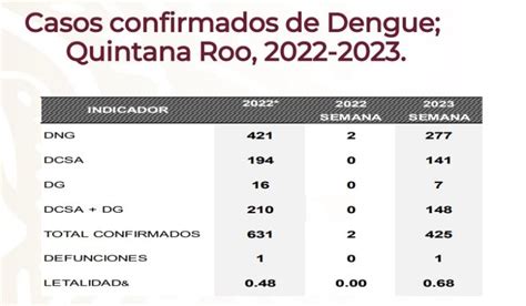 Ocurre La Primera Muerte Por Dengue En Quintana Roo