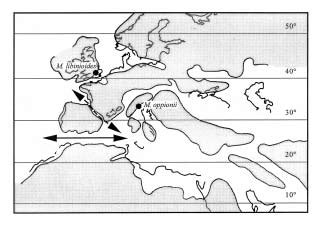 Simplified Paleogeographic Map Of The Western Tethys During The