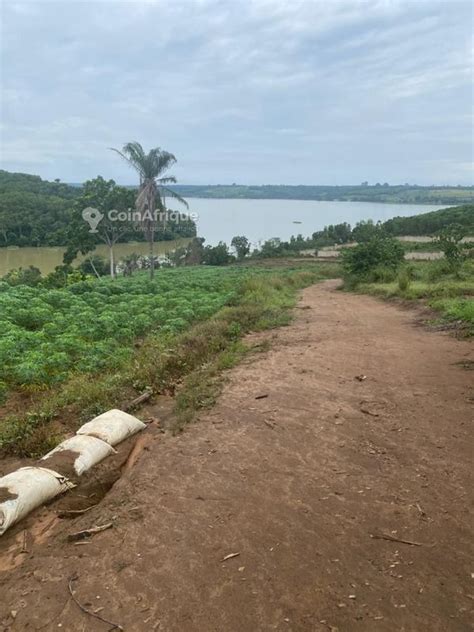 Terrains Terrain Bingerville En C Te D Ivoire Coinafrique C Te D Ivoire