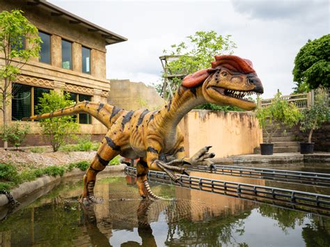 Dinosaur Island Roars Back at the Columbus Zoo - Coaster101