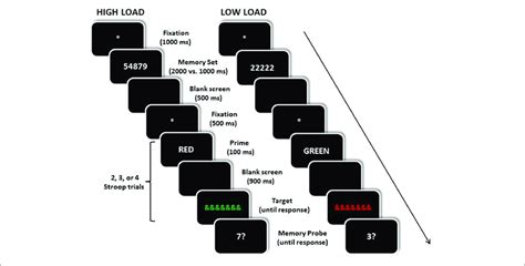 Examples Of The Temporal Sequence Of Events For An Incongruent Trial