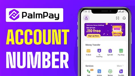 How To Get Palmpay Account Number Full Guide 2024 YouTube