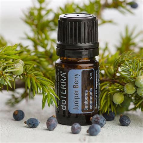 Doterra Juniper Berry Ml Lazada