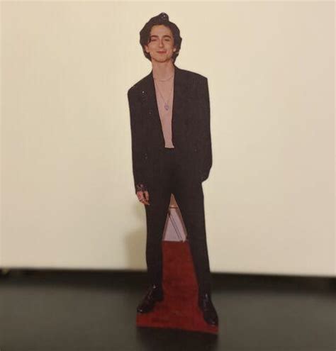 Timothee Chalamet Cardboard Cutout