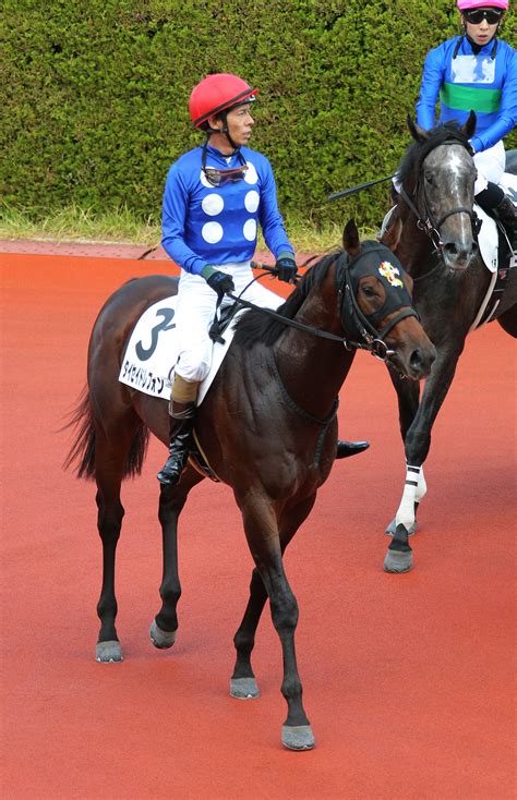 【新谷の土曜競馬コラム・弥富特別】 日刊ゲンダイ競馬