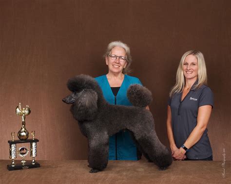 Doylestown Veterinary Hospital - Home | Facebook
