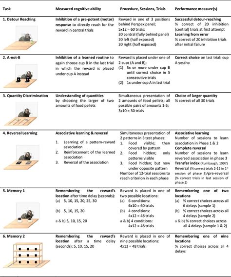 Overview Of The 6 Tasks Of The Cognitive Test Battery Download