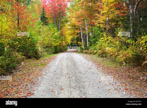 Milan Hill State Park In Milan New Hampshire Usa During The Autumn