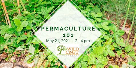 Permaculture 101 Webinar London Environmental Network