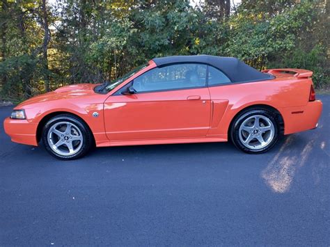 Ford Mustang American Muscle Carz