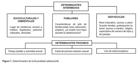 Embarazo En La Adolescencia Mapa Conceptual Porn Sex Picture