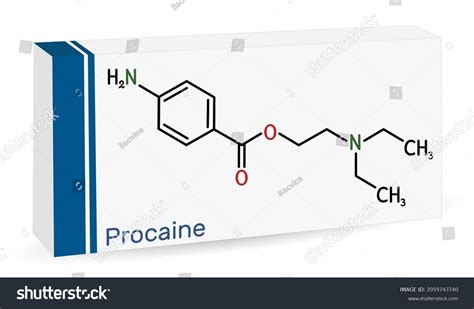 Procaine Molecule Local Anesthetic Drug Skeletal Stock Vector Royalty