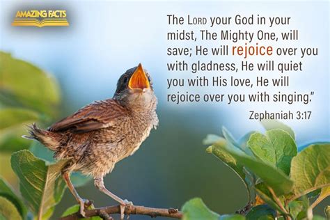 Scripture Pictures From The Book Of Zephaniah Amazing Facts Artofit