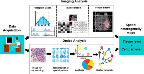 Mapping Spatiotemporal Heterogeneity In Tumor Profiles By Integrating