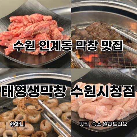 수원 인계동 막창 맛집 태영생막창 수원시청점 내돈내산 후기 네이버 블로그