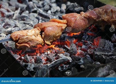 Outdoor Closeup Grilling Meat On Coal Stock Image Image Of Food