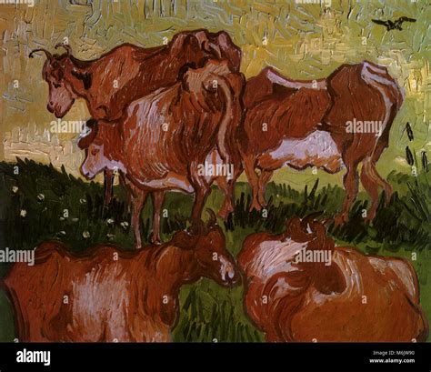 The Cows By Vincent Van Gogh Hi Res Stock Photography And Images Alamy