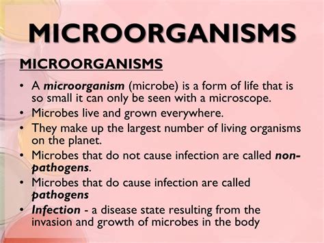 Ppt Microorganisms Powerpoint Presentation Free Download Id 2188967