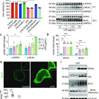 Rescued Citrate Mt Metabolism And Transport Attenuate LPS Induced