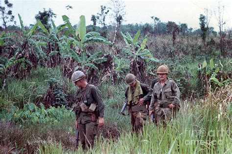 Out On Patrol 4th Infantry Division Central Highlands Of Vietnam 1968 ...