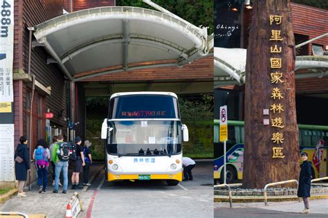 【南投 嘉義】搭台灣好行 日月潭阿里山線 暢遊新中橫！三日五日遊完整行程規劃旅行地圖：塔塔加夫妻神木 特富野古道 草坪頭玉山觀光茶園