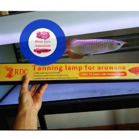 Jual Lampu Tanning RDC Arwana Arowana Double Row 113cm Lampu LED