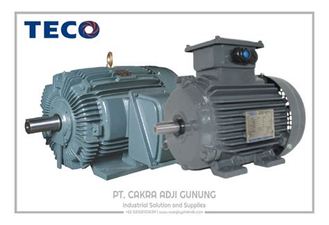 Electric Motor Teco PT Cakra Adji Gunung