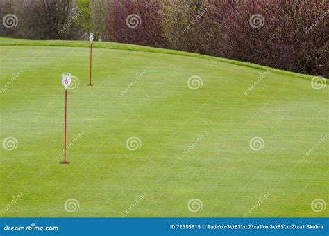 Golf Green Closeup Stock Image Image Of Golf Bright 72355815