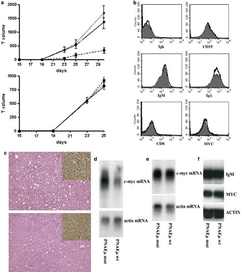 Growth and characterization of tumors induced in SCID mice by inoculum... | Download Scientific ...