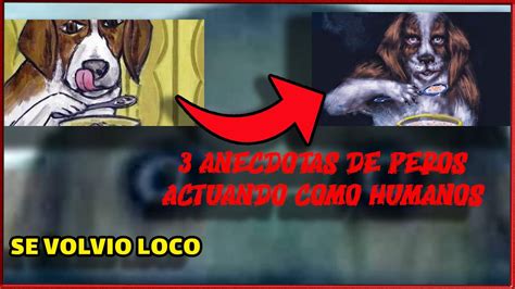 Top Experiencias De Perros Actuando Como Humanos Youtube